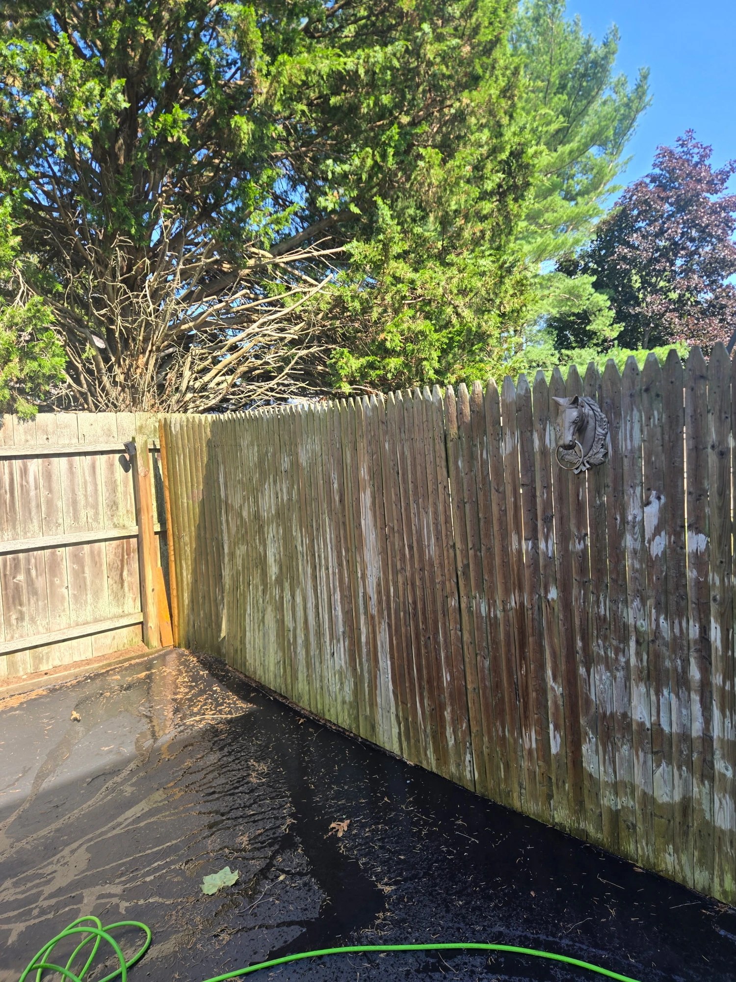 Wooden fence gate before pressure washing