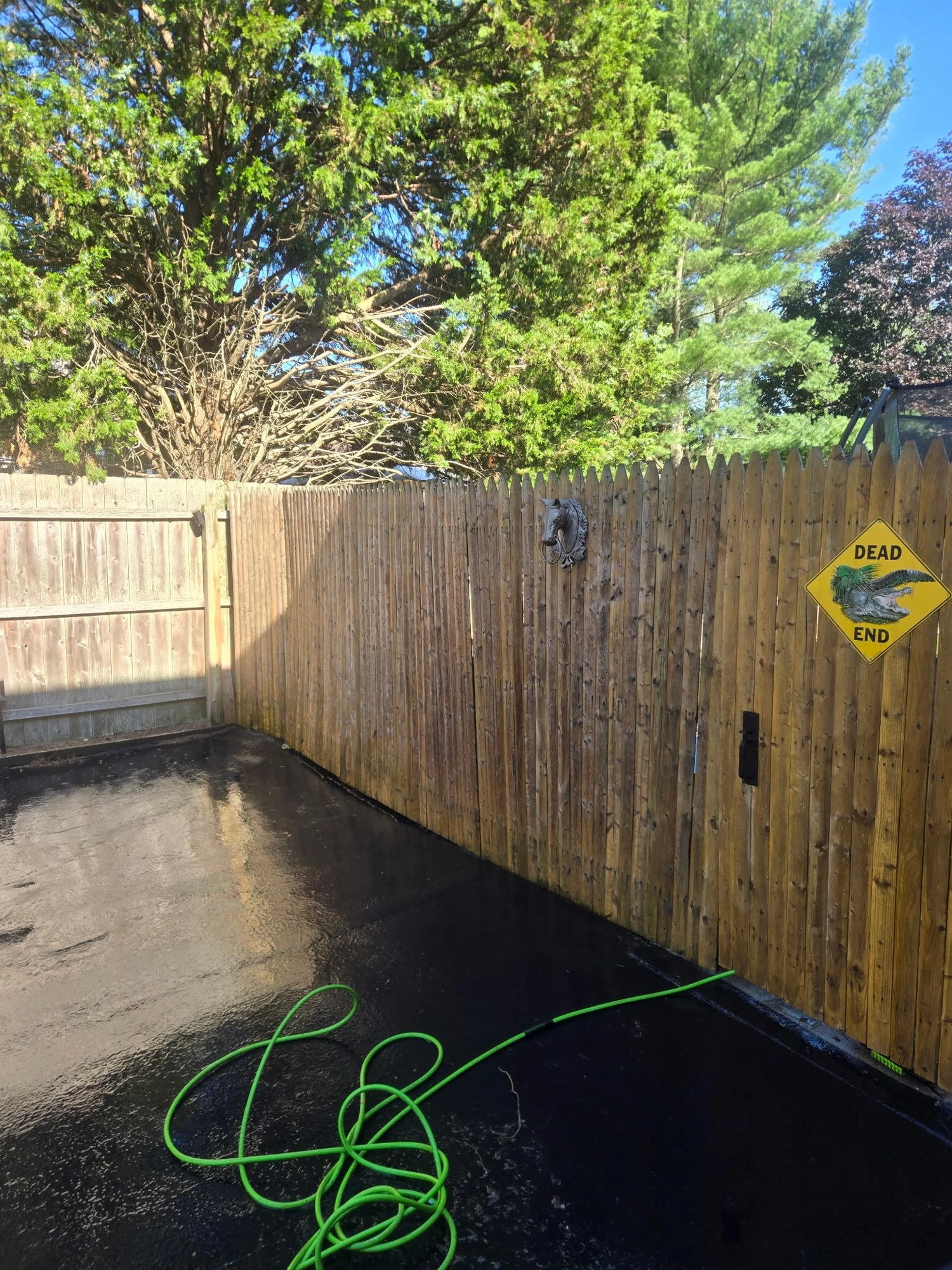 Wooden fence gate after pressure washing