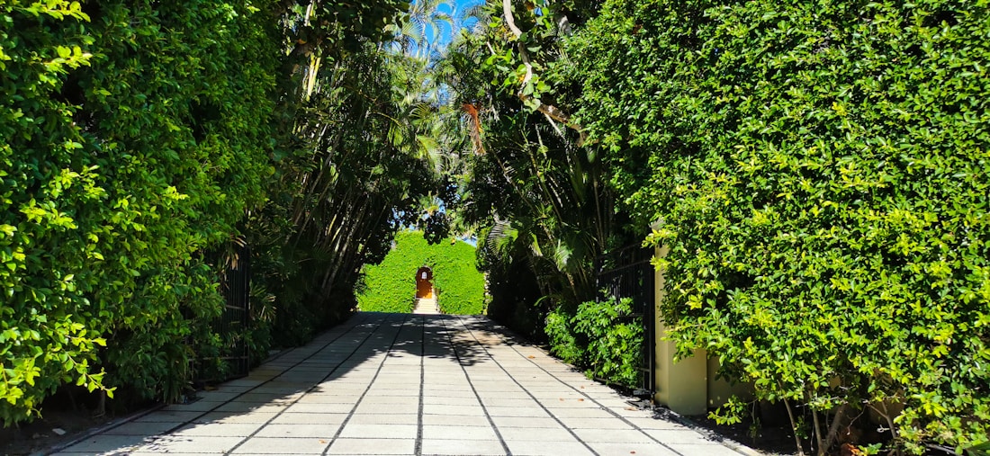 Outdoor walkway before detailed exterior cleaning