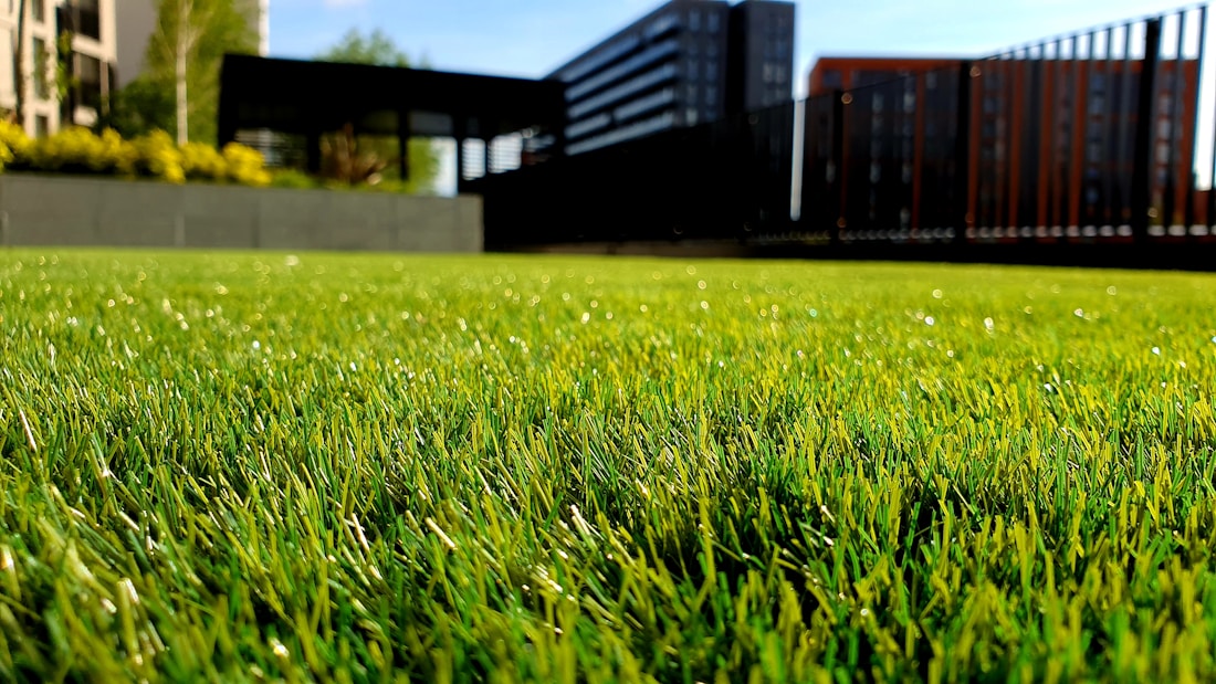 Fresh clean wooden fence beside a green lawn