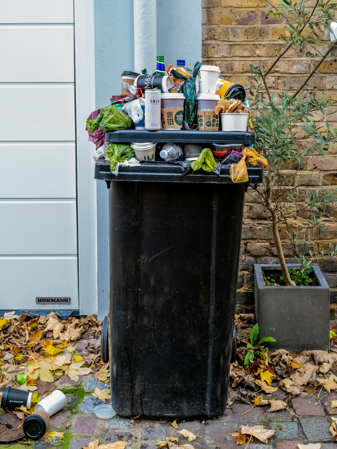 Clean residential garbage cans ready for service